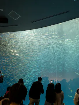名古屋港水族館に投稿された画像（2026/5/3）