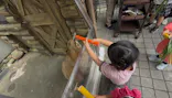 世界淡水魚園水族館　アクア・トトぎふに投稿された画像（2026/5/3）