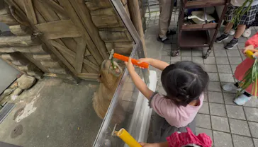 世界淡水魚園水族館　アクア・トトぎふに投稿された画像（2026/5/3）