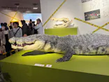 特別展「超危険生物展　科学で挑む生き物の本気」に投稿された画像（2026/5/3）