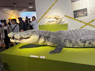 特別展「超危険生物展　科学で挑む生き物の本気」に投稿された画像（2026/5/3）