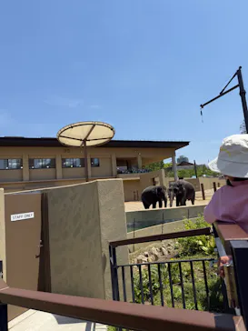 天王寺動物園に投稿された画像（2026/5/3）