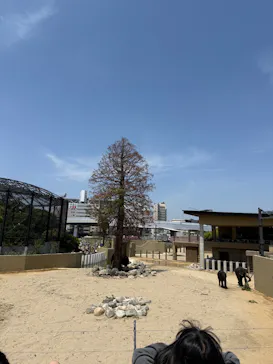 天王寺動物園に投稿された画像（2026/5/3）