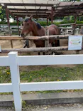 東武動物公園に投稿された画像（2026/5/3）