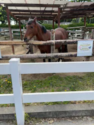 東武動物公園に投稿された画像（2026/5/3）