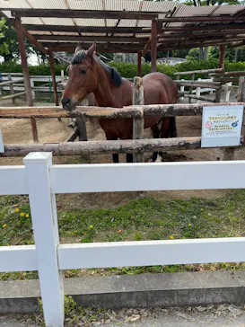 東武動物公園に投稿された画像（2026/5/3）