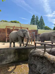 東武動物公園に投稿された画像（2026/5/3）