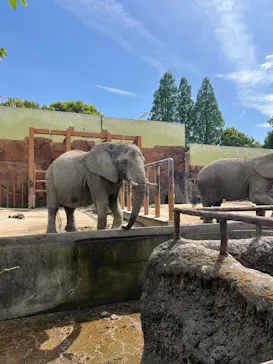 東武動物公園に投稿された画像（2026/5/3）