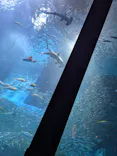 横浜・八景島シーパラダイスに投稿された画像（2026/5/3）