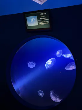 シン・マリホ水族館に投稿された画像（2026/5/3）