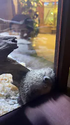 シン・マリホ水族館に投稿された画像（2026/5/3）