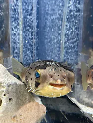 サンシャイン水族館に投稿された画像（2026/5/3）