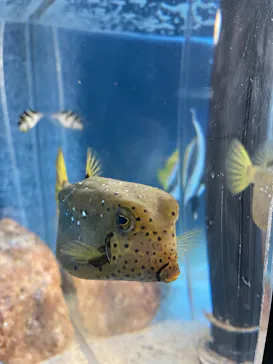 サンシャイン水族館に投稿された画像（2026/5/3）