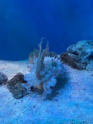 サンシャイン水族館に投稿された画像（2026/5/3）