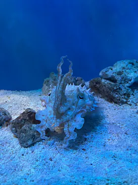 サンシャイン水族館に投稿された画像（2026/5/3）