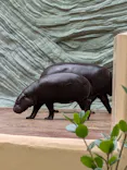 恩賜上野動物園に投稿された画像（2026/5/3）