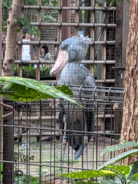 恩賜上野動物園に投稿された画像（2026/5/3）