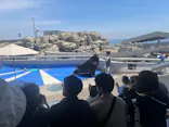 大分マリーンパレス水族館 「うみたまご」に投稿された画像（2026/5/3）
