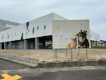 はしもとみお木彫展 いきものたちとの旅（氷見市芸術文化館）に投稿された画像（2026/5/3）