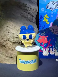 新江ノ島水族館に投稿された画像（2026/5/3）
