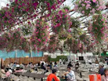 掛川花鳥園に投稿された画像（2026/5/4）