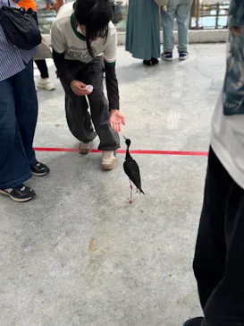 掛川花鳥園に投稿された画像（2026/5/3）