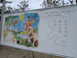 霞ケ浦 どうぶつとみんなのいえに投稿された画像（2026/5/4）
