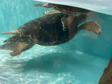 仙台うみの杜水族館に投稿された画像（2026/5/3）