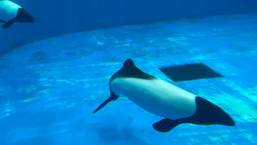 仙台うみの杜水族館に投稿された画像（2026/5/3）