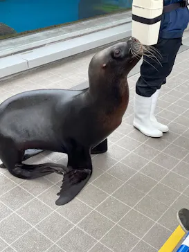 仙台うみの杜水族館に投稿された画像（2026/5/3）