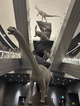 福井県立恐竜博物館に投稿された画像（2026/5/3）