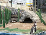 越前松島水族館に投稿された画像（2026/5/4）