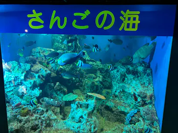 越前松島水族館に投稿された画像（2026/5/3）