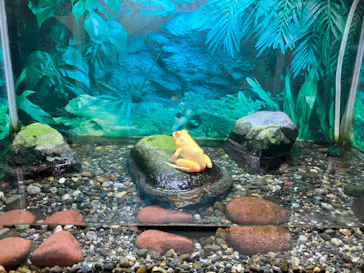 越前松島水族館に投稿された画像（2026/5/3）