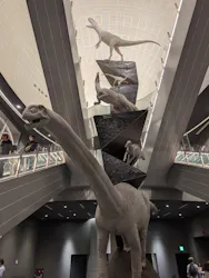 福井県立恐竜博物館に投稿された画像（2026/5/3）