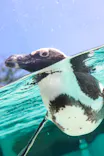 仙台うみの杜水族館に投稿された画像（2026/5/4）