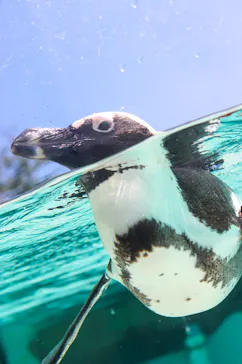 仙台うみの杜水族館に投稿された画像（2026/5/3）