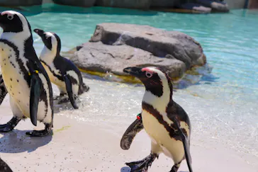 仙台うみの杜水族館に投稿された画像（2026/5/3）