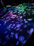 すみだ水族館に投稿された画像（2026/5/4）