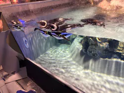 すみだ水族館に投稿された画像（2026/5/3）