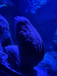 すみだ水族館に投稿された画像（2026/5/3）