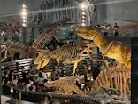 福井県立恐竜博物館に投稿された画像（2026/5/4）