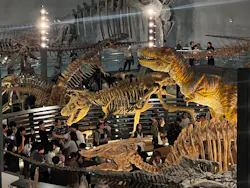 福井県立恐竜博物館に投稿された画像（2026/5/3）
