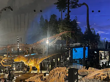 福井県立恐竜博物館に投稿された画像（2026/5/3）