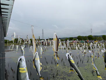 栃木県なかがわ水遊園に投稿された画像（2026/5/3）