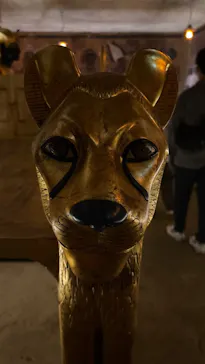 MYSTERY OF TUTANKHAMEN 体感型古代エジプト展に投稿された画像（2026/5/3）