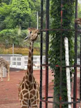 多摩動物公園に投稿された画像（2026/5/4）