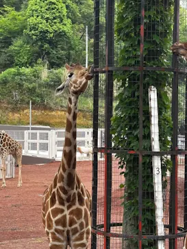多摩動物公園に投稿された画像（2026/5/3）