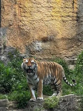 多摩動物公園に投稿された画像（2026/5/3）