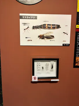特別展「超危険生物展　科学で挑む生き物の本気」に投稿された画像（2026/5/3）